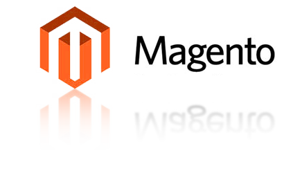magento magento webshop